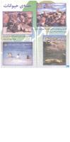 مجله خردسال 103 صفحه 20