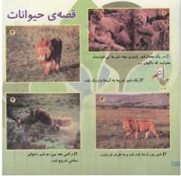 مجله خردسال 105 صفحه 20