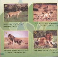مجله خردسال 105 صفحه 21