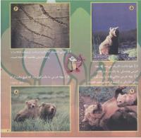 مجله خردسال 143 صفحه 21