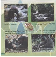 مجله خردسال 146 صفحه 21