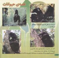 مجله خردسال 146 صفحه 20