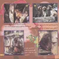 مجله خردسال 171 صفحه 21
