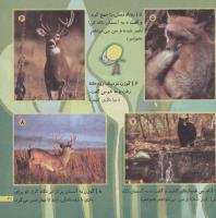 مجله خردسال 207 صفحه 21