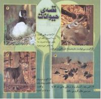مجله خردسال 207 صفحه 20