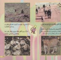 مجله خردسال 214 صفحه 21