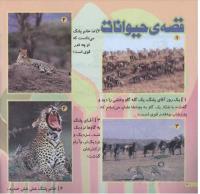 مجله خردسال 214 صفحه 20