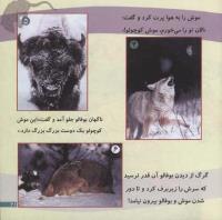 مجله خردسال 221 صفحه 21