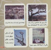 مجله خردسال 223 صفحه 21