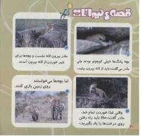 مجله خردسال 223 صفحه 20