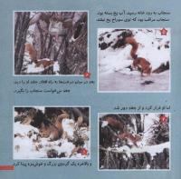مجله خردسال 224 صفحه 21