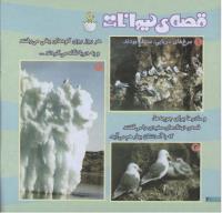 مجله خردسال 226 صفحه 20