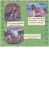مجله خردسال 238 صفحه 21