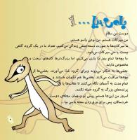 مجله خردسال 244 صفحه 3
