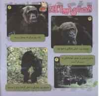 مجله خردسال 248 صفحه 20