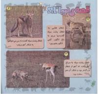 مجله خردسال 250 صفحه 20