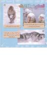 مجله خردسال 266 صفحه 20