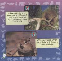 مجله خردسال 286 صفحه 21