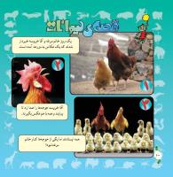 مجله خردسال 287 صفحه 21