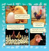 مجله خردسال 287 صفحه 22
