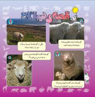 مجله خردسال 289 صفحه 20