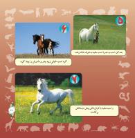 مجله خردسال 291 صفحه 21