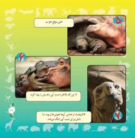 مجله خردسال 294 صفحه 21