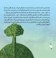 مجله خردسال 297 صفحه 6