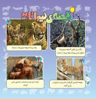 مجله خردسال 297 صفحه 20