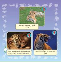 مجله خردسال 297 صفحه 21