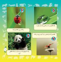 مجله خردسال 298 صفحه 21