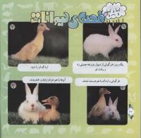 مجله خردسال 306 صفحه 20