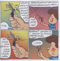 مجله خردسال 306 صفحه 13