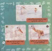 مجله خردسال 308 صفحه 21