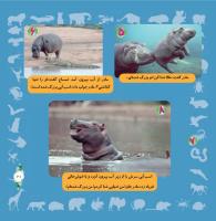 مجله خردسال 310 صفحه 21