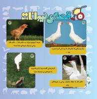 مجله خردسال 314 صفحه 20