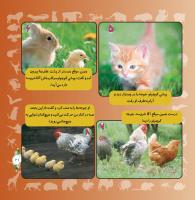 مجله خردسال 315 صفحه 21