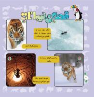 مجله خردسال 316 صفحه 20