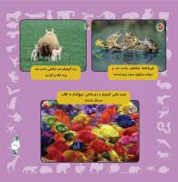 مجله خردسال 318 صفحه 21