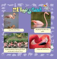 مجله خردسال 320 صفحه 20