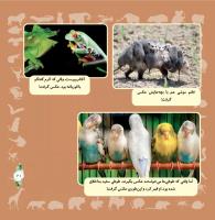 مجله خردسال 321 صفحه 21