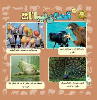 مجله خردسال 321 صفحه 20