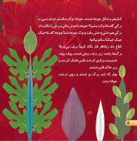 مجله خردسال 442 صفحه 6