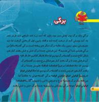 مجله خردسال 442 صفحه 4