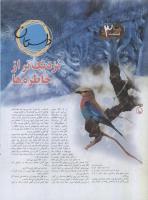 مجله نوجوان 04 صفحه 10