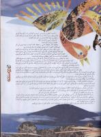 مجله نوجوان 16 صفحه 25