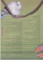 مجله نوجوان 28 صفحه 13