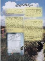 مجله نوجوان 30 صفحه 11