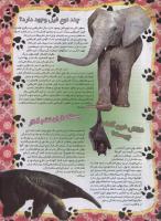 مجله نوجوان 34 صفحه 22
