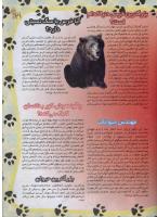 مجله نوجوان 34 صفحه 21